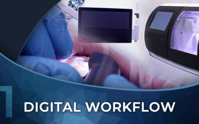 Introduction to the Digital Workflow